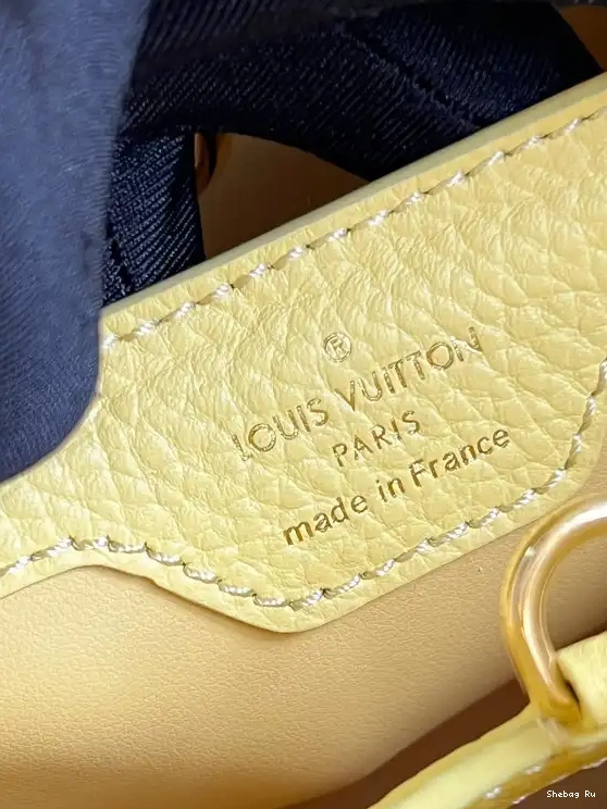 VUITTON BB CAPUCINES LOUIS 0529